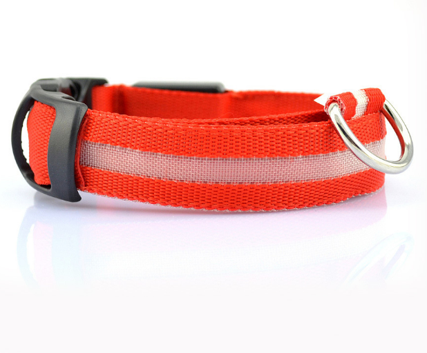 Safety Light Up LED Dog Collar