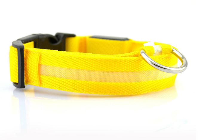 Safety Light Up LED Dog Collar