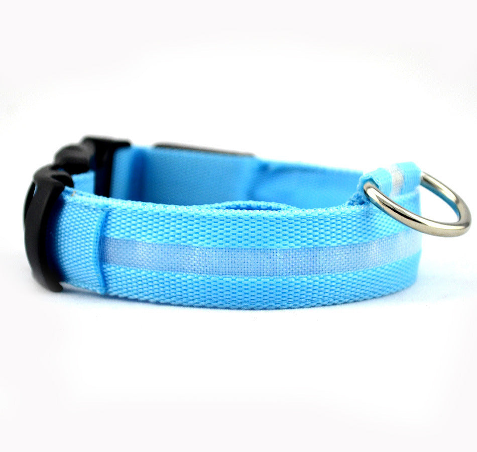 Safety Light Up LED Dog Collar