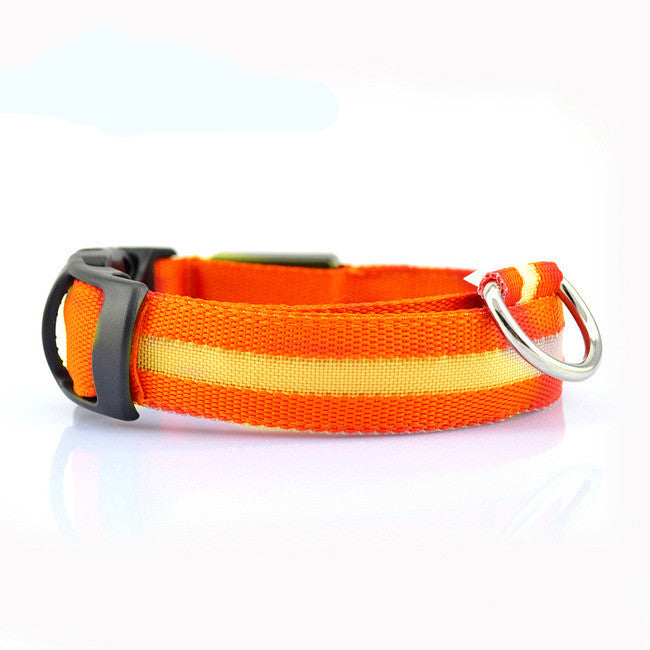 Safety Light Up LED Dog Collar