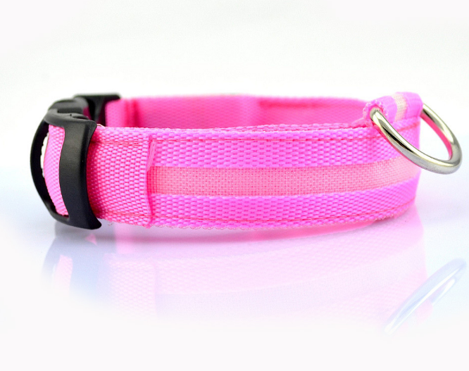 Safety Light Up LED Dog Collar