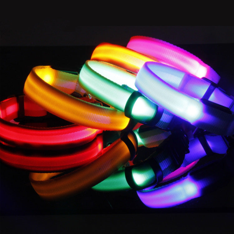 Safety Light Up LED Dog Collar