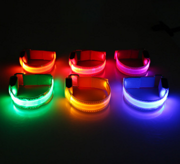 Safety Light Up LED Dog Collar