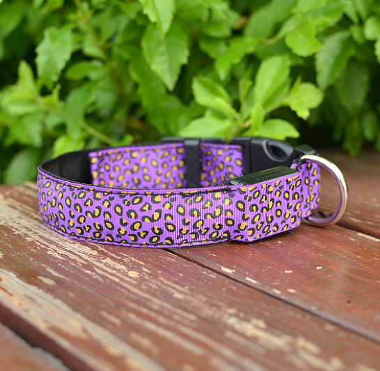 Safety Light Up LED Dog Collar Rechargeable Leopard Print