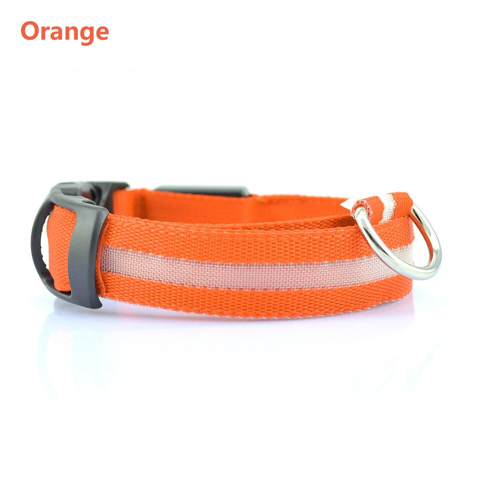 Safety LED Light up Dog Collar