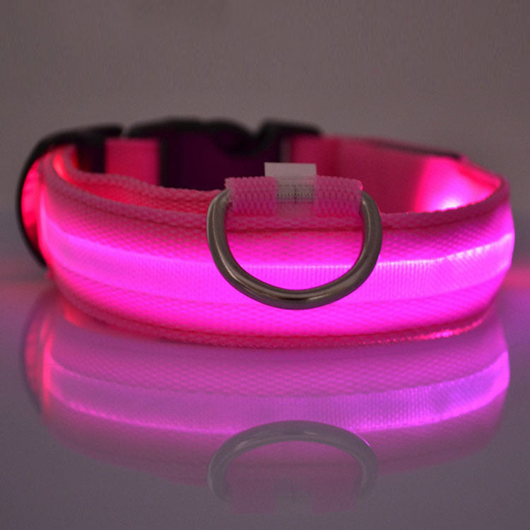 Safety LED Light up Dog Collar