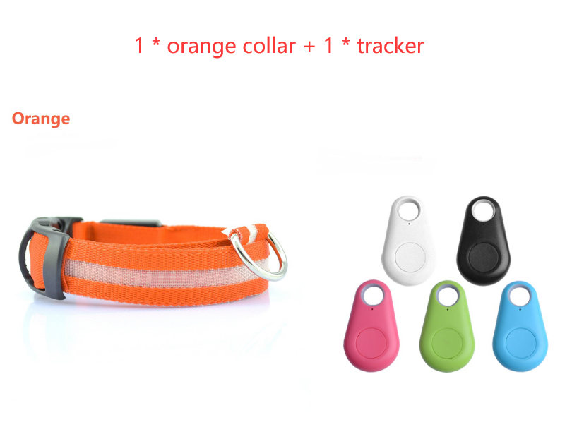 Safety LED Light up Dog Collar