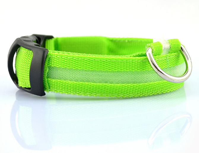 Safety Light Up LED Dog Collar