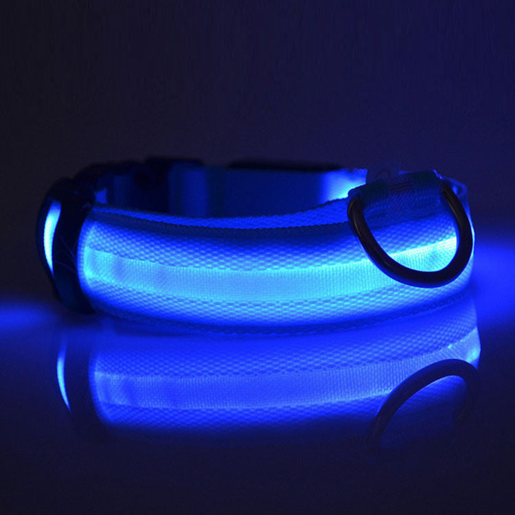 Safety LED Light up Dog Collar