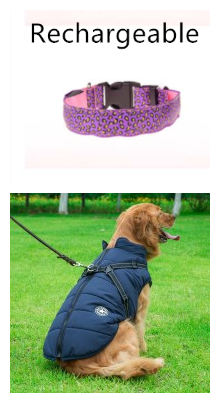 Safety Light Up LED Dog Collar Rechargeable Leopard Print