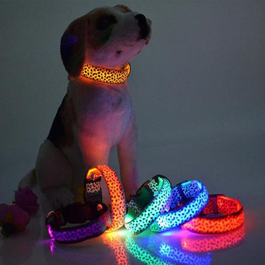 Safety Light Up LED Dog Collar Rechargeable Leopard Print