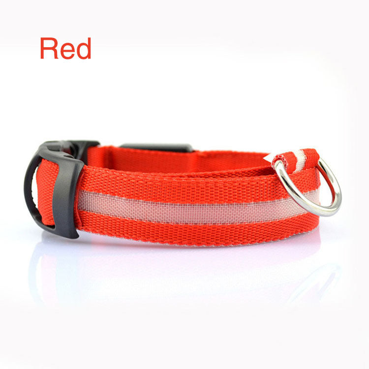 Safety LED Light up Dog Collar