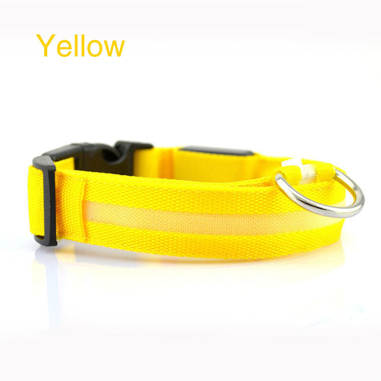 Safety LED Light up Dog Collar