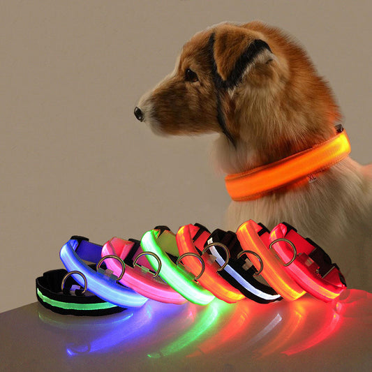 Safety Light Up LED Dog Collar