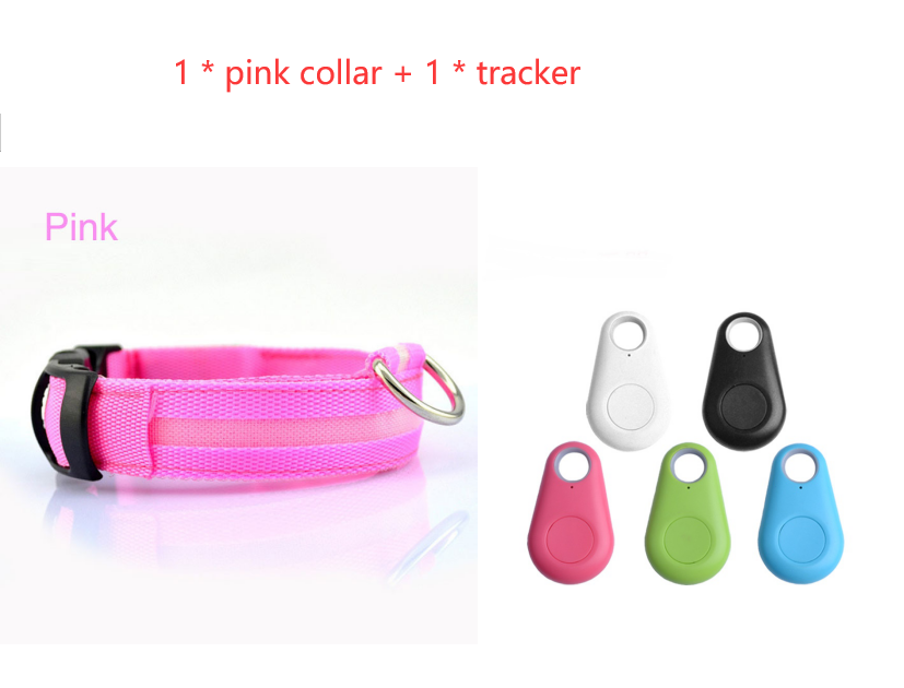 Safety LED Light up Dog Collar