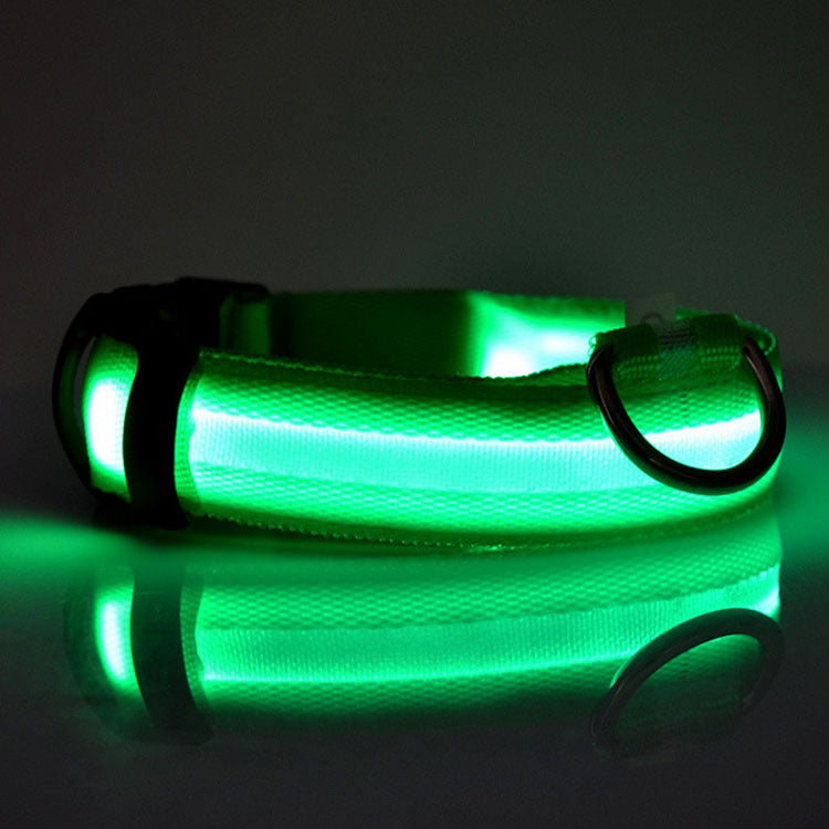 Safety LED Light up Dog Collar