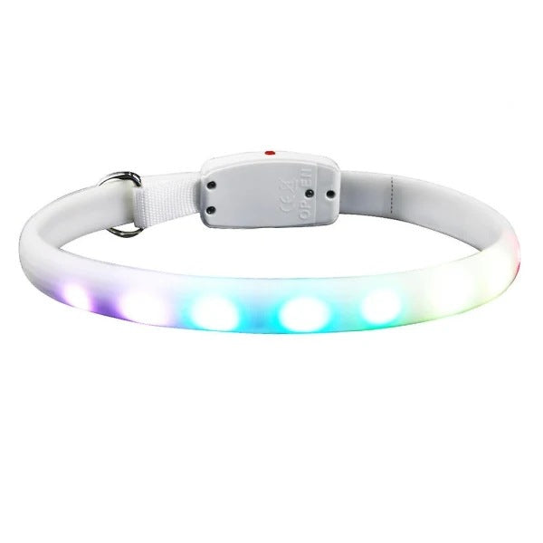 Safety LED Light Up Dog Collar